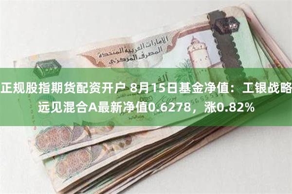 正规股指期货配资开户 8月15日基金净值：工银战略远见混合A最新净值0.6278，涨0.82%