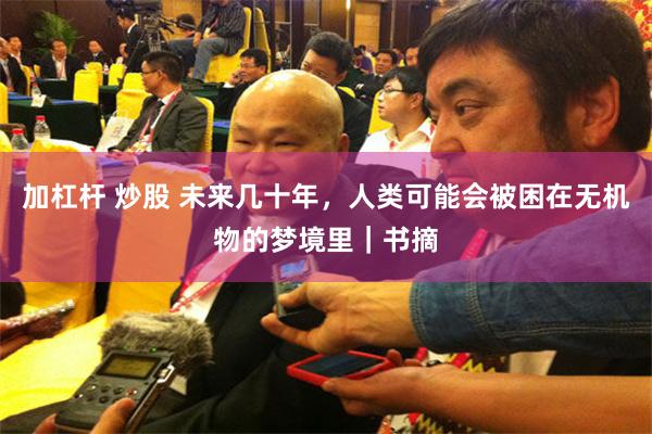 加杠杆 炒股 未来几十年，人类可能会被困在无机物的梦境里｜书摘