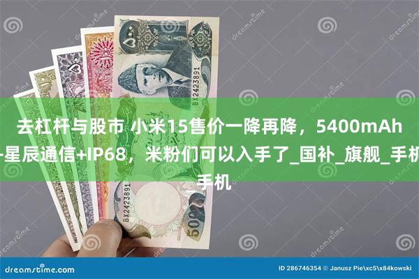 去杠杆与股市 小米15售价一降再降，5400mAh+星辰通信+IP68，米粉们可以入手了_国补_旗舰_手机