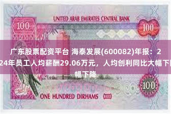 广东股票配资平台 海泰发展(600082)年报：2024年员工人均薪酬29.06万元，人均创利同比大幅下降