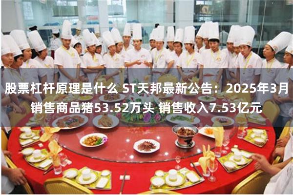 股票杠杆原理是什么 ST天邦最新公告：2025年3月销售商品猪53.52万头 销售收入7.53亿元