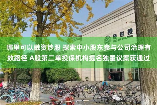 哪里可以融资炒股 探索中小股东参与公司治理有效路径 A股第二单投保机构提名独董议案获通过