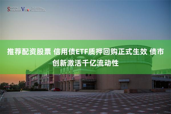 推荐配资股票 信用债ETF质押回购正式生效 债市创新激活千亿流动性