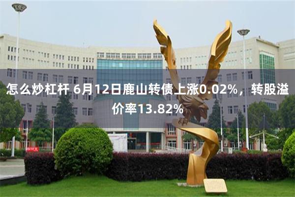 怎么炒杠杆 6月12日鹿山转债上涨0.02%，转股溢价率13.82%