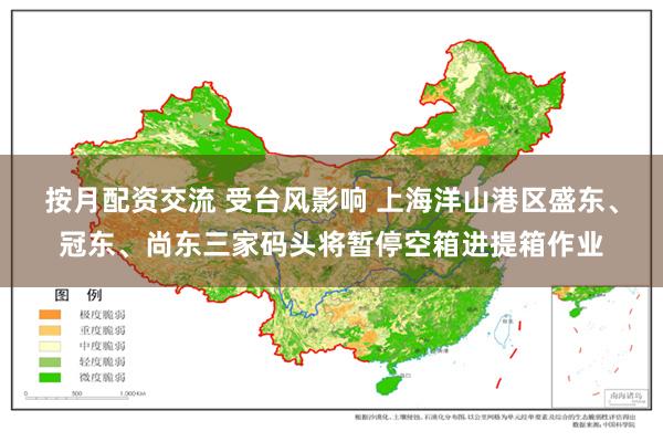 按月配资交流 受台风影响 上海洋山港区盛东、冠东、尚东三家码头将暂停空箱进提箱作业