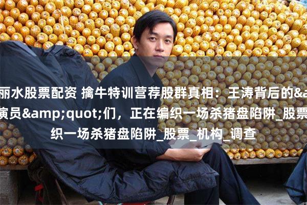 丽水股票配资 擒牛特训营荐股群真相：王涛背后的&quot;演员&quot;们，正在编织一场杀猪盘陷阱_股票_机构_调查
