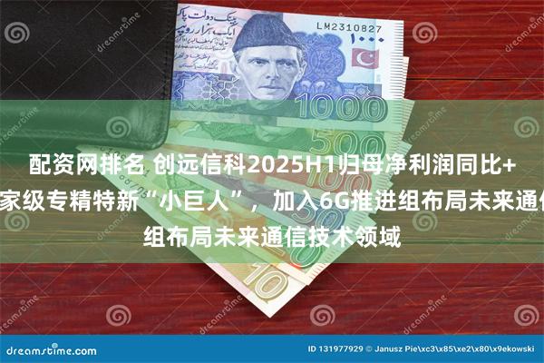 配资网排名 创远信科2025H1归母净利润同比+354%：国家级专精特新“小巨人”，加入6G推进组布局未来通信技术领域