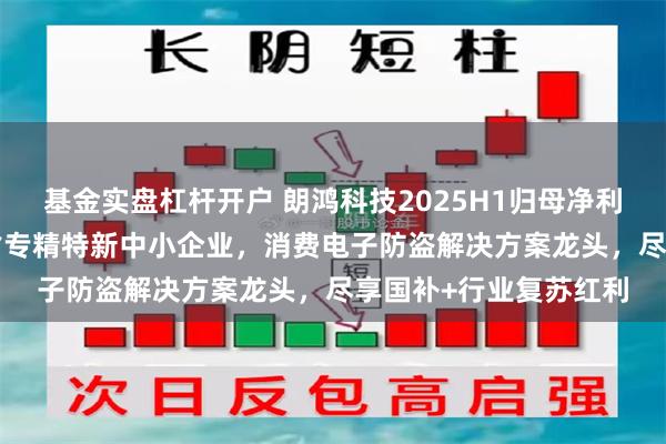 基金实盘杠杆开户 朗鸿科技2025H1归母净利润同比+29%：浙江省专精特新中小企业，消费电子防盗解决方案龙头，尽享国补+行业复苏红利